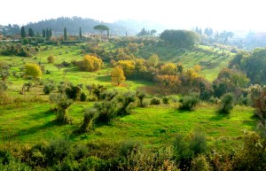 FLORENCE, ITALY / HILLSIDE BEHIND BOBOLI GARDEN