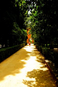 ALCÁZAR OF SEVILLE / GARDEN PATH