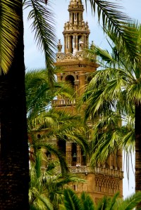 ALCÁZAR OF SEVILLE / TOWER VIEW