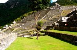 MACHU PICCHU / TERRACED
