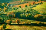 SAN GIMIGNANO, ITALY / LIFE BEYOND THE WALLS