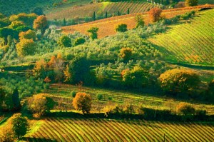 SAN GIMIGNANO, ITALY / LIFE BEYOND THE WALLS