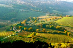 SAN GIMIGNANO, ITALY / TUSCAN SUN
